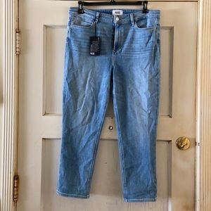 Distressed hoxton slim crop linear coin jeans